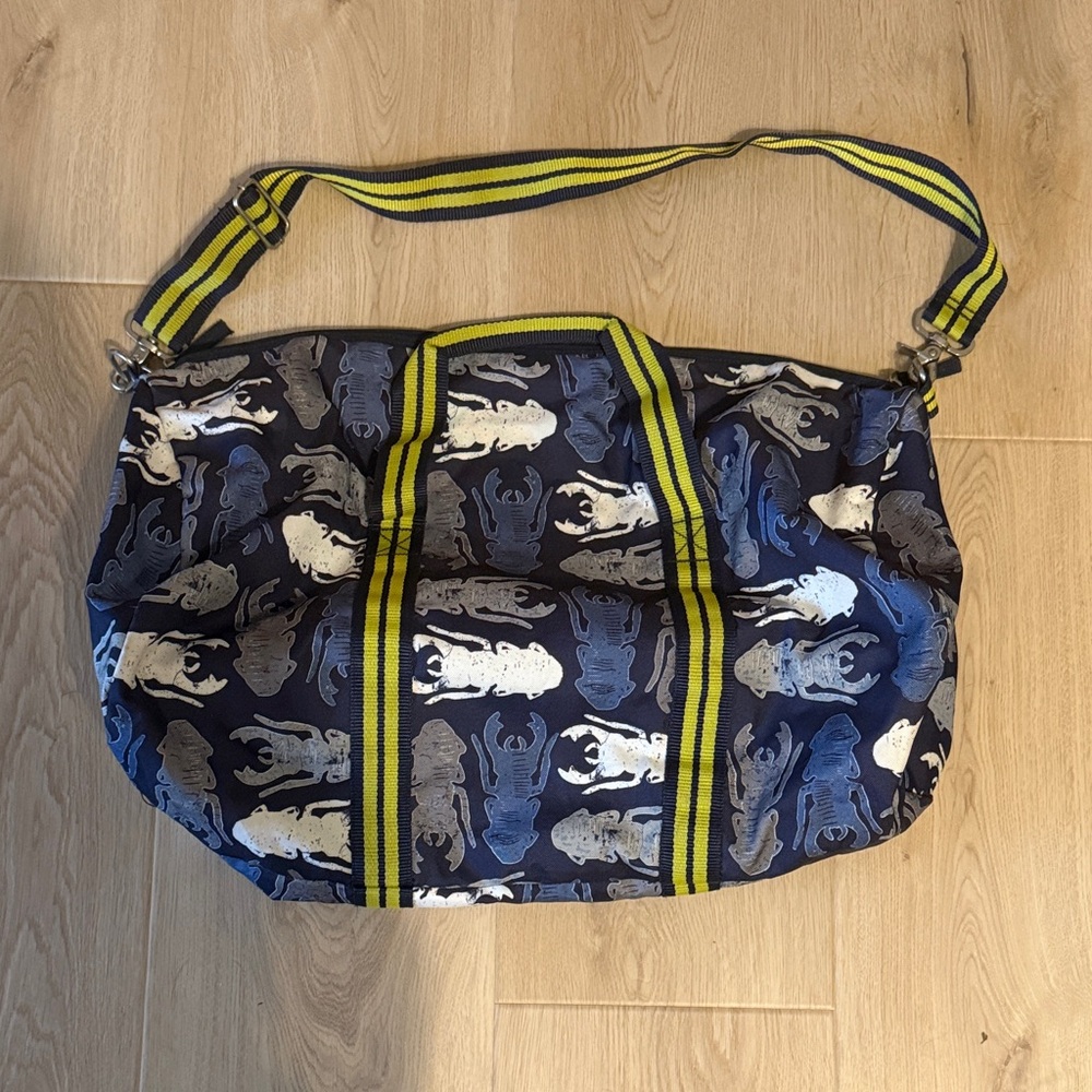 Pottery Barn kids – bug duffel bag 
🪲💚💙